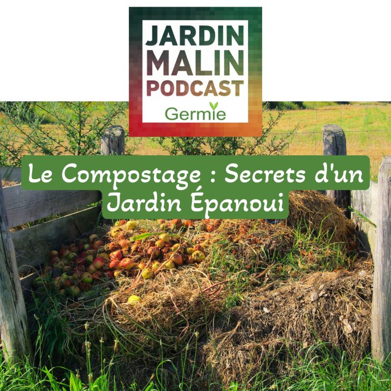 Lire la suite à propos de l’article Faire son compost : Un allié précieux pour un jardin florissant