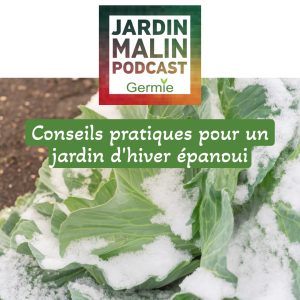 Lire la suite à propos de l’article Guide Complet pour le Jardinage en Hiver : Conseils et Astuces