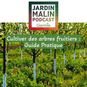 Lire la suite à propos de l’article Arbres Fruitiers : Guide Complet pour les cultiver