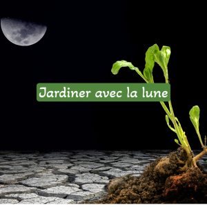 Lire la suite à propos de l’article Jardiner avec la lune