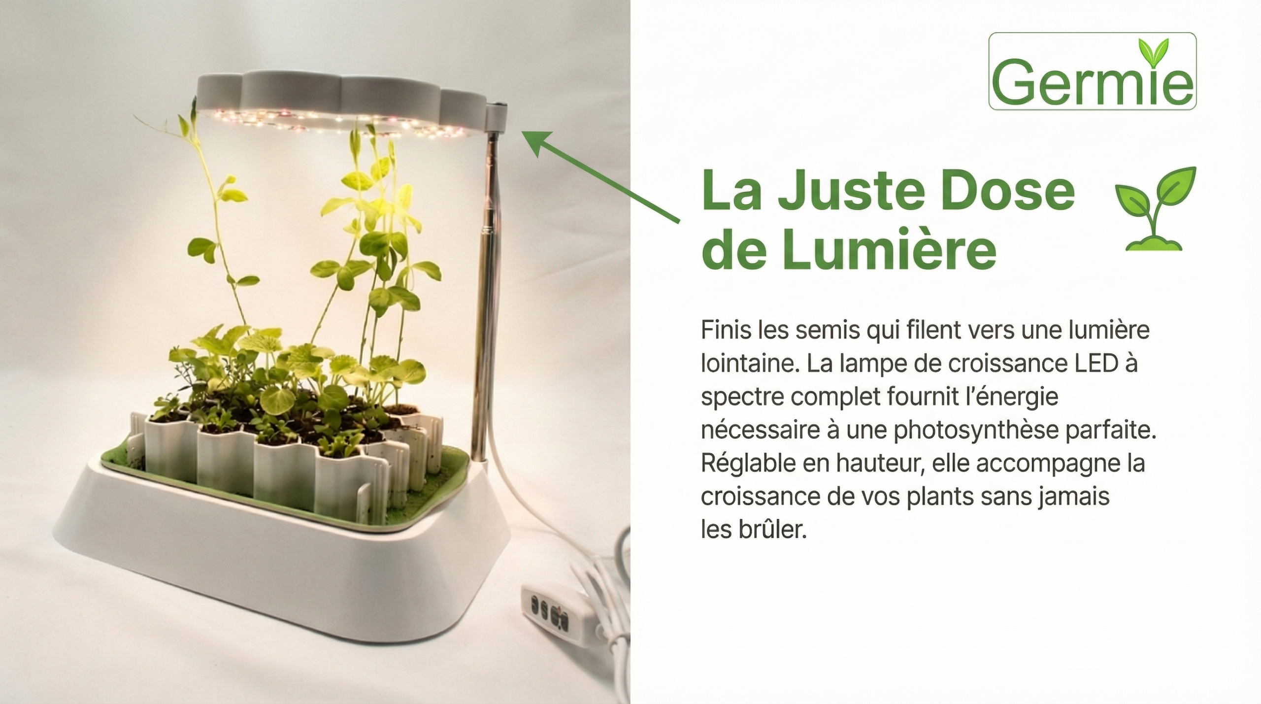 Lampe de culture LED + tapis chauffant semis avec support – Démarrage intérieur des plantes – Image 5